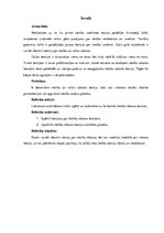 Referāts 'Tiesību rāšanas teorijas', 3.