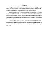 Referāts 'Tiesību rāšanas teorijas', 13.