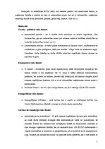 Referāts 'Stratēģiskais projekts – SIA "Rods"', 5.