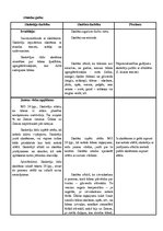 Paraugs 'Stundas plāns dabaszinībās 5.klasei', 3.