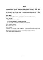 Referāts 'Personības veidošana caur neverbālo un verbālo komunikāciju', 4.