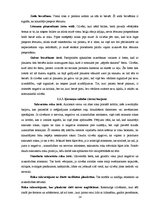 Referāts 'Personības veidošana caur neverbālo un verbālo komunikāciju', 14.