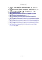 Referāts 'Personības veidošana caur neverbālo un verbālo komunikāciju', 24.