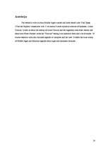 Referāts 'Vlada Tepes saistība ar grāfu Drakulu', 24.