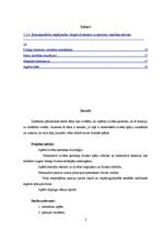 Referāts 'Cilvēka fiziskās sagatavotības veidošanas iespējas', 2.