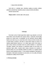Referāts 'Cilvēka fiziskās sagatavotības veidošanas iespējas', 3.