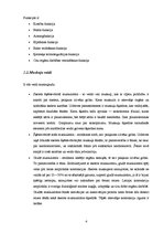 Referāts 'Cilvēka fiziskās sagatavotības veidošanas iespējas', 4.