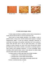 Referāts 'Cilvēka fiziskās sagatavotības veidošanas iespējas', 5.