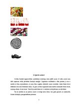 Referāts 'Cilvēka fiziskās sagatavotības veidošanas iespējas', 8.