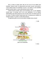 Referāts 'Cilvēka fiziskās sagatavotības veidošanas iespējas', 9.