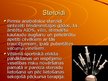 Referāts 'Cilvēka fiziskās sagatavotības veidošanas iespējas', 34.