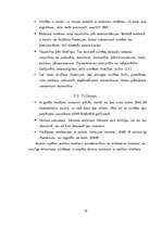 Referāts 'Mobilā telefona funkciju attīstība un nozīme mūsdienās', 13.