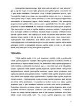 Referāts 'Izglītība Latvijā', 7.