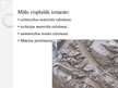 Prezentācija 'Derīgie izrakteņi, augsne Latvijā', 21.