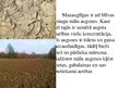 Prezentācija 'Derīgie izrakteņi, augsne Latvijā', 44.
