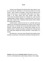 Referāts 'Nīderlandes starpkultūru komunikācija', 3.