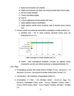 Referāts 'Mārketinga pasākumu kompleksa elementu salīdzināšana zemo izmaksu aviokompānijās', 13.