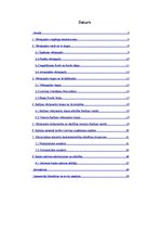 Referāts 'Vērtspapīri', 1.