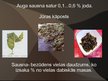 Prezentācija 'Ķīmiskais elements jods', 9.