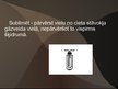 Prezentācija 'Ķīmiskais elements jods', 12.
