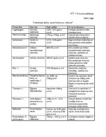 Referāts 'Seno Austrumu vēsture', 1.