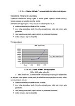 Diplomdarbs 'SIA "X" saimnieciski finansiālās darbības analīze un attīstības iespējas', 22.