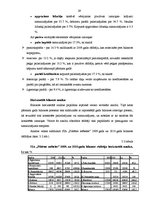 Diplomdarbs 'SIA "X" saimnieciski finansiālās darbības analīze un attīstības iespējas', 29.