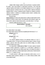 Diplomdarbs 'SIA "X" saimnieciski finansiālās darbības analīze un attīstības iespējas', 38.