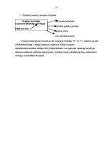Diplomdarbs 'SIA "X" saimnieciski finansiālās darbības analīze un attīstības iespējas', 57.