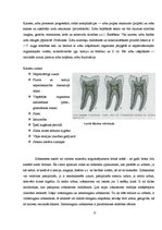 Referāts 'Zobu higiēnista loma mutes dobuma veselības saglabāšanā', 17.