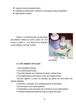 Referāts 'Zobu higiēnista loma mutes dobuma veselības saglabāšanā', 25.