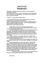 Konspekts 'Jāņa Ezeriņa darba "Pundurītis" analīze', 1.