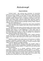 Referāts 'Dzelzceļa mezglu raksturojums', 1.