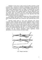 Referāts 'Dzelzceļa mezglu raksturojums', 4.
