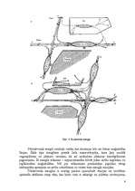Referāts 'Dzelzceļa mezglu raksturojums', 6.