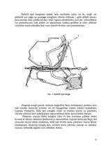 Referāts 'Dzelzceļa mezglu raksturojums', 10.