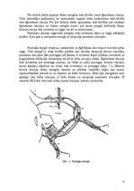 Referāts 'Dzelzceļa mezglu raksturojums', 12.