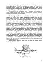 Referāts 'Dzelzceļa mezglu raksturojums', 13.