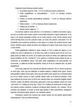 Prakses atskaite 'Prakses atskaite finanšu grāmatvedībā', 21.