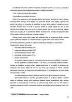 Prakses atskaite 'Prakses atskaite finanšu grāmatvedībā', 23.