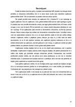 Prakses atskaite 'Prakses atskaite finanšu grāmatvedībā', 28.