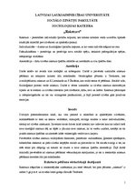 Referāts 'Raksturs', 1.