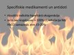 Prezentācija 'Tvana gāze', 17.