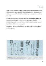 Konspekts 'Medicīniskā parazitoloģija', 22.