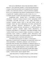 Referāts 'Konteineru pārvadājumi', 3.