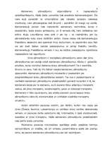 Referāts 'Konteineru pārvadājumi', 9.