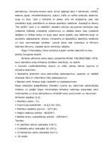 Referāts 'Konteineru pārvadājumi', 13.