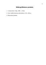 Referāts 'Konteineru pārvadājumi', 21.