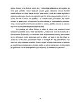 Referāts 'Gladiatori Senajā Romā un mūsdienu režisora Rīdlija Skota filmā "Gladiators"', 19.