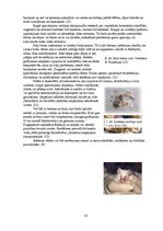 Referāts 'Barības ietekme uz peļu attīstību', 12.